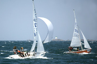 The Baitra Trophy brings together the best sailors in the Cadet class at the Yacht Club