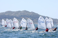 The French fleet arrives in Baiona to compete in the Optimist International Meeting