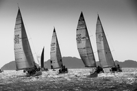 About thirty sailboats are entered in the Martín Códax Trophy for Solitaires and A Dos